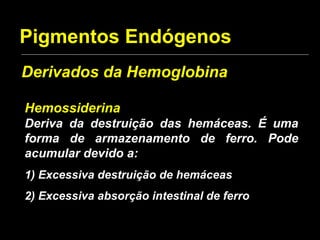 Pigmentos Endógenos Hemossiderina Deriva da destruição das hemáceas. É uma forma de armazenamento de ferro. Pode acumular devido a: 1) Excessiva destruição de hemáceas 2) Excessiva absorção intestinal de ferro Derivados da Hemoglobina 