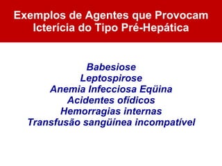 Exemplos de Agentes que Provocam Icterícia do Tipo Pré-Hepática Babesiose Leptospirose Anemia Infecciosa Eqüina Acidentes ofídicos Hemorragias internas Transfusão sangüínea incompatível 