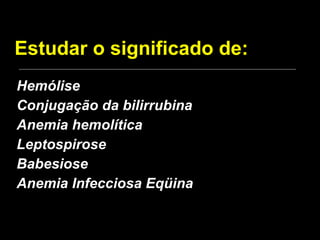 Estudar o significado de: Hemólise Conjugação da bilirrubina Anemia hemolítica Leptospirose Babesiose Anemia Infecciosa Eqüina 