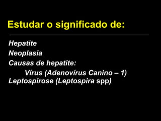 Estudar o significado de: Hepatite Neoplasia Causas de hepatite: Vírus (Adenovírus Canino – 1) Leptospirose (Leptospira  spp ) 