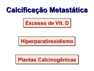 Calcificação Metastática Excesso de Vit. D Hiperparatireoidismo Plantas Calcinogênicas 
