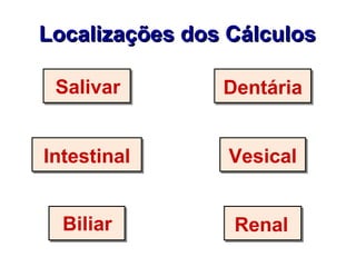 Localizações dos Cálculos Salivar Biliar Renal Intestinal Vesical Dentária 