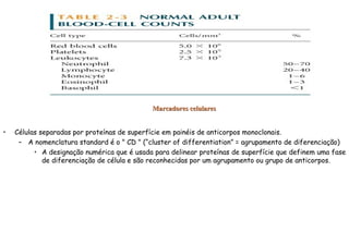 Marcadores celularesMarcadores celulares
• Células separadas por proteínas de superfície em painéis de anticorpos monoclonais.
– A nomenclatura standard é o " CD " (“cluster of differentiation” = agrupamento de diferenciação)
• A designação numérica que é usada para delinear proteínas de superfície que definem uma fase
de diferenciação de célula e são reconhecidas por um agrupamento ou grupo de anticorpos.
 
