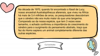 Curiosidades
Na década de 1970, quando foi encontrado o fóssil de Lucy,
nosso ancestral Australopithecus afarensis, que viveu na África
há mais de 3,4 milhões de anos, os pesquisadores descobriram
que o cérebro não era muito maior do que uma tangerina.
Comparado ao da nossa espécie, que tem 3 vezes esse
tamanho, o achado confirmou a importância do crescimento do
cérebro para o surgimento do pensamento abstrato, traço que
fez do Homo sapiens um animal completamente diferente das
outras espécies.
 