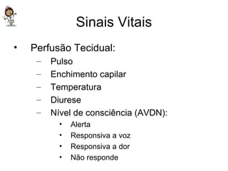 Sinais Vitais Perfusão Tecidual: Pulso Enchimento capilar Temperatura Diurese Nível de consciência (AVDN): Alerta Responsiva a voz Responsiva a dor Não responde 