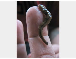 Aula de rede sociais - 8h