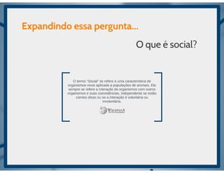 Aula de rede sociais - 8h