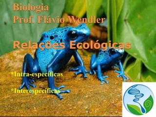 Biologia
Prof. Flávio Wendler

Relações Ecológicas

*Intra-específicas

*Interespecíficas
 