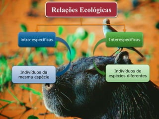 Relações Ecológicas



intra-específicas                 Interespecíficas




Indivíduos da                        Indivíduos de
mesma espécie                     espécies diferentes
 