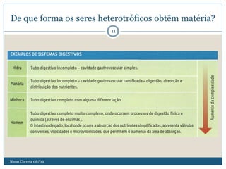 Aula De RevisõEs 2