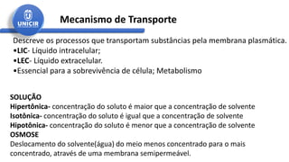 Descreve os processos que transportam substâncias pela membrana plasmática.
•LIC- Líquido intracelular;
•LEC- Líquido extracelular.
•Essencial para a sobrevivência de célula; Metabolismo
Mecanismo de Transporte
SOLUÇÃO
Hipertônica- concentração do soluto é maior que a concentração de solvente
Isotônica- concentração do soluto é igual que a concentração de solvente
Hipotônica- concentração do soluto é menor que a concentração de solvente
OSMOSE
Deslocamento do solvente(água) do meio menos concentrado para o mais
concentrado, através de uma membrana semipermeável.
 