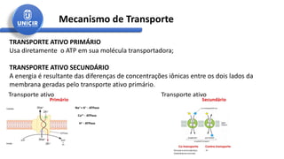 Mecanismo de Transporte
TRANSPORTE ATIVO PRIMÁRIO
Usa diretamente o ATP em sua molécula transportadora;
TRANSPORTE ATIVO SECUNDÁRIO
A energia é resultante das diferenças de concentrações iônicas entre os dois lados da
membrana geradas pelo transporte ativo primário.
 