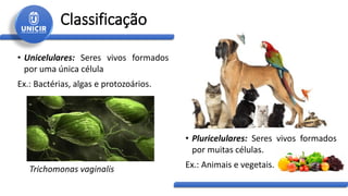 Classificação
• Unicelulares: Seres vivos formados
por uma única célula
Ex.: Bactérias, algas e protozoários.
• Pluricelulares: Seres vivos formados
por muitas células.
Ex.: Animais e vegetais.
Trichomonas vaginalis
 