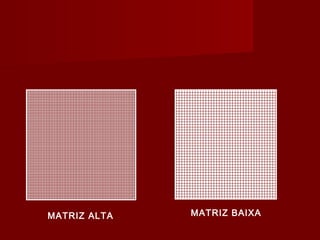 MATRIZ ALTA MATRIZ BAIXA
 