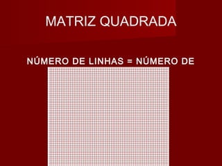 MATRIZ QUADRADA
NÚMERO DE LINHAS = NÚMERO DE
COLUNAS
 