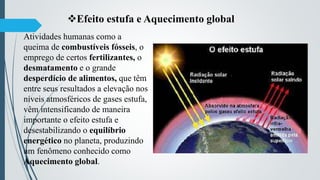 Efeito estufa e Aquecimento global
Atividades humanas como a
queima de combustíveis fósseis, o
emprego de certos fertilizantes, o
desmatamento e o grande
desperdício de alimentos, que têm
entre seus resultados a elevação nos
níveis atmosféricos de gases estufa,
vêm intensificando de maneira
importante o efeito estufa e
desestabilizando o equilíbrio
energético no planeta, produzindo
um fenômeno conhecido como
Aquecimento global.
 