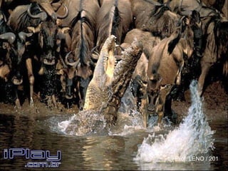 by Prof. LENO / 201 1 