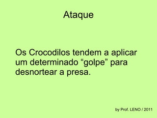 Ataque Os Crocodilos tendem a aplicar um determinado “golpe” para desnortear a presa.  by Prof. LENO / 2011 
