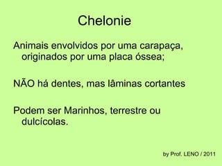Chelonie Animais envolvidos por uma carapaça, originados por uma placa óssea; NÃO há dentes, mas lâminas cortantes Podem ser Marinhos, terrestre ou dulcícolas. by Prof. LENO / 2011 