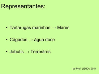 Representantes: Tartarugas marinhas -> Mares Cágados -> água doce Jabutis -> Terrestres by Prof. LENO / 2011 