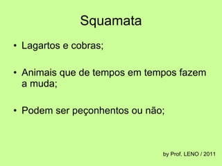 Squamata Lagartos e cobras; Animais que de tempos em tempos fazem a muda; Podem ser peçonhentos ou não; by Prof. LENO / 2011 