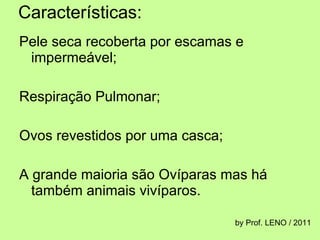 Características: Pele seca recoberta por escamas e impermeável; Respiração Pulmonar; Ovos revestidos por uma casca; A grande maioria são Ovíparas mas há também animais vivíparos.  by Prof. LENO / 2011 