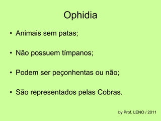 Ophidia Animais sem patas; Não possuem tímpanos; Podem ser peçonhentas ou não; São representados pelas Cobras.  by Prof. LENO / 2011 