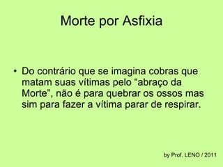 Morte por Asfixia Do contrário que se imagina cobras que matam suas vítimas pelo “abraço da Morte”, não é para quebrar os ossos mas sim para fazer a vítima parar de respirar. by Prof. LENO / 2011 