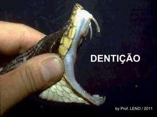 DENTIÇÃO by Prof. LENO / 2011 