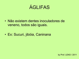 ÁGLIFAS Não existem dentes inoculadores de veneno, todos são iguais. Ex: Sucuri, jibóia, Caninana by Prof. LENO / 2011 