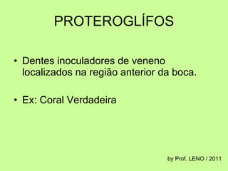 PROTEROGLÍFOS Dentes inoculadores de veneno localizados na região anterior da boca. Ex: Coral Verdadeira by Prof. LENO / 2011 