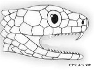 by Prof. LENO / 2011 