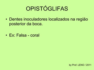 OPISTÓGLIFAS Dentes inoculadores localizados na região posterior da boca. Ex: Falsa - coral by Prof. LENO / 2011 
