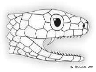 by Prof. LENO / 2011 