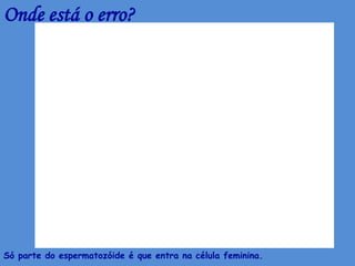 Onde está o erro?




Só parte do espermatozóide é que entra na célula feminina.
 