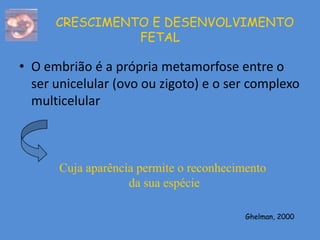 CRESCIMENTO E DESENVOLVIMENTO
                FETAL

• O embrião é a própria metamorfose entre o
  ser unicelular (ovo ou zigoto) e o ser complexo
  multicelular



      Cuja aparência permite o reconhecimento
                   da sua espécie

                                         Ghelman, 2000
 