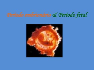 Período embrionário & Período fetal
 