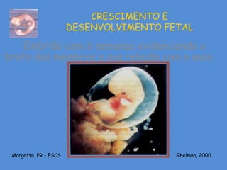 CRESCIMENTO E
                       DESENVOLVIMENTO FETAL

    Embrião com 6 semanas evidenciando o
broto dos membros e sua relação com o saco
                amniótico




 Margotto, PR - ESCS                     Ghelman, 2000
 