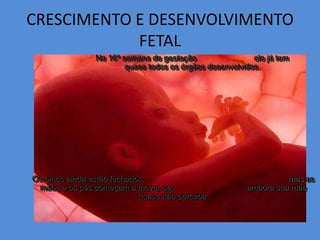 CRESCIMENTO E DESENVOLVIMENTO
            FETAL
                Na 16ª semana de gestação                 ele já tem
                        quase todos os órgãos desenvolvidos.




Os olhos ainda estão fechados,                                    mas as
 mãos e os pés começam a mover-se,                      embora sua mãe
                            quase não perceba.
 