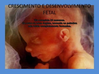 CRESCIMENTO E DESENVOLVIMENTO
            FETAL
              Ele completa 24 semanas.
    De entre os seus órgãos, somente os pulmões
        não estão completamente formados.
 