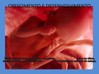 CRESCIMENTO E DESENVOLVIMENTO
                FETAL




 Nesta etapa já mexe os braços e as pernas,                 pisca os olhos,
chupa os dedos e, inclusive, tem           seus primeiros acessos de soluço.
 