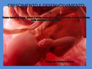 CRESCIMENTO E DESENVOLVIMENTO
                FETAL
Como todos os fetos, passa a maior parte do tempo dormindo, e quando dorme
                        nada consegue despertá-lo.




                                    Chega até mesmo a sonhar.
 