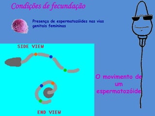 Condições de fecundação
      Presença de espermatozóides nas vias
      genitais femininas




                                     O movimento de
                                           um
                                     espermatozóide
 