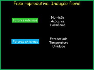 Fase reprodutiva: Indução floral
Fatores internos
Fatores externos
Nutrição
Açúcares
Hormônios
Fotoperíodo
Temperatura
Umidade
 