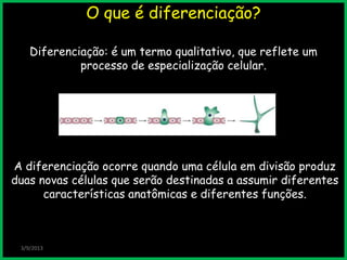 O que é diferenciação?
Diferenciação: é um termo qualitativo, que reflete um
processo de especialização celular.
3/9/2013
A diferenciação ocorre quando uma célula em divisão produz
duas novas células que serão destinadas a assumir diferentes
características anatômicas e diferentes funções.
 