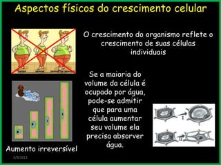 Aspectos físicos do crescimento celular
3/9/2013
O crescimento do organismo reflete o
crescimento de suas células
individuais
Aumento irreversível
Se a maioria do
volume da célula é
ocupado por água,
pode-se admitir
que para uma
célula aumentar
seu volume ela
precisa absorver
água.
 