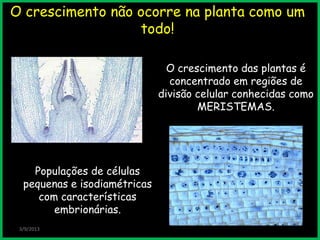 O crescimento não ocorre na planta como um
todo!
3/9/2013
Populações de células
pequenas e isodiamétricas
com características
embrionárias.
O crescimento das plantas é
concentrado em regiões de
divisão celular conhecidas como
MERISTEMAS.
 