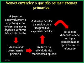 Vamos entender o que são os meristemas
primários
3/9/2013
A fase do
desenvolvimento
vegetal que dá
origem aos novos
órgãos e a forma
básica da planta
Resulta da
atividade dos
meristemas apicais
É denominada
crescimento
primário
as células
diferenciam-se
em tipos
especializados
após terem se
alongado
A divisão celular
é seguida pela
progressiva
expansão celular
 