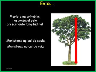 Então…
3/9/2013
Meristema primário:
responsável pelo
crescimento longitudinal
Meristema apical do caule
Meristema apical da raiz
 