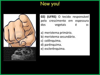 Now you!
02) (UFRS) O tecido responsável
pelo crescimento em espessura
dos vegetais é o:
a) meristema primário.
b) meristema secundário.
c) colênquima.
d) parênquima.
e) esclerênquima.
 